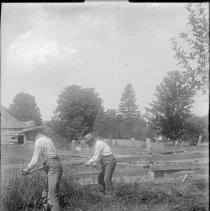 Negative, Glass Plate