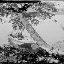 Negative, Glass Plate