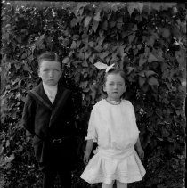 Negative, Glass Plate