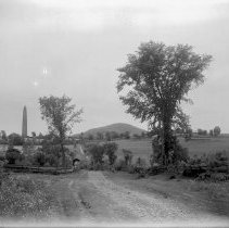 Negative, Glass Plate