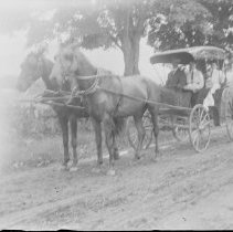 Negative, Glass Plate