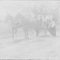 Negative, Glass Plate