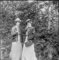 Negative, Glass Plate