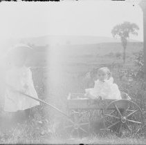 Negative, Glass Plate