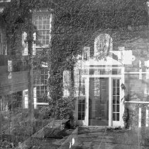 Negative, Sheet Film