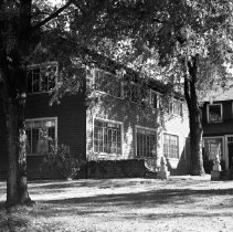 Negative, Sheet Film