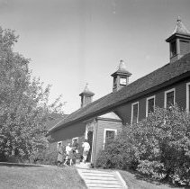 Negative, Sheet Film