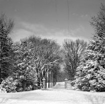 Negative, Sheet Film