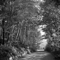 Negative, Sheet Film