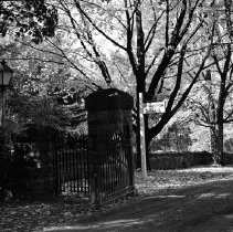 Negative, Sheet Film