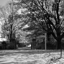 Negative, Sheet Film