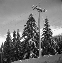 Negative, Sheet Film