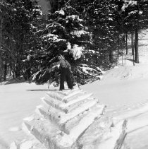 Negative, Sheet Film