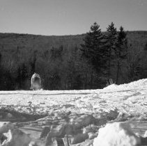 Negative, Sheet Film