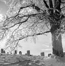 Negative, Sheet Film