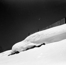 Negative, Sheet Film