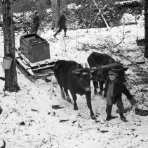 Negative, Sheet Film