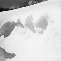 Negative, Sheet Film