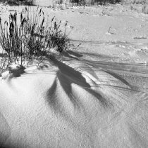 Negative, Sheet Film