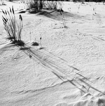 Negative, Sheet Film