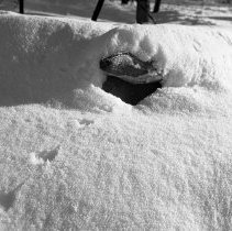 Negative, Sheet Film