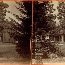 Stereograph