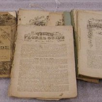 Vick's floral guide : 1881