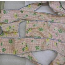 Grandma Moses Apron, top