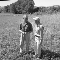 Negative, Sheet Film