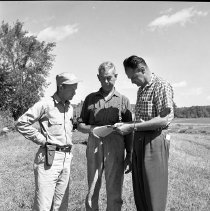 Negative, Sheet Film