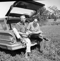 Negative, Sheet Film