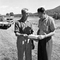 Negative, Sheet Film