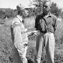 Negative, Sheet Film