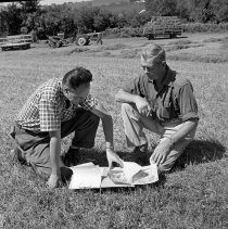 Negative, Sheet Film