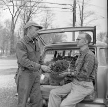 Negative, Sheet Film