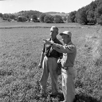 Negative, Sheet Film