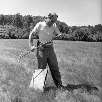 Negative, Sheet Film