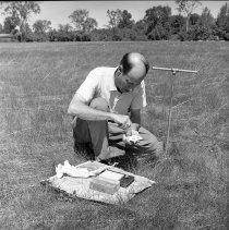 Negative, Sheet Film