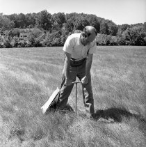 Negative, Sheet Film
