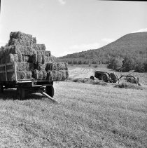 Negative, Sheet Film