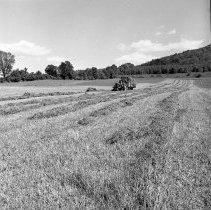 Negative, Sheet Film