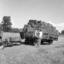 Negative, Sheet Film