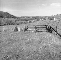 Negative, Sheet Film