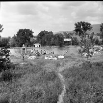 Negative, Sheet Film