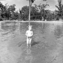 Negative, Sheet Film