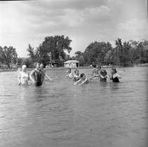 Negative, Sheet Film