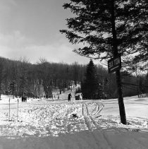 Negative, Sheet Film