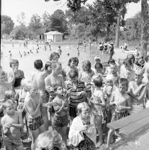 Negative, Sheet Film