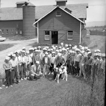 Negative, Sheet Film