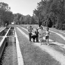 Negative, Sheet Film